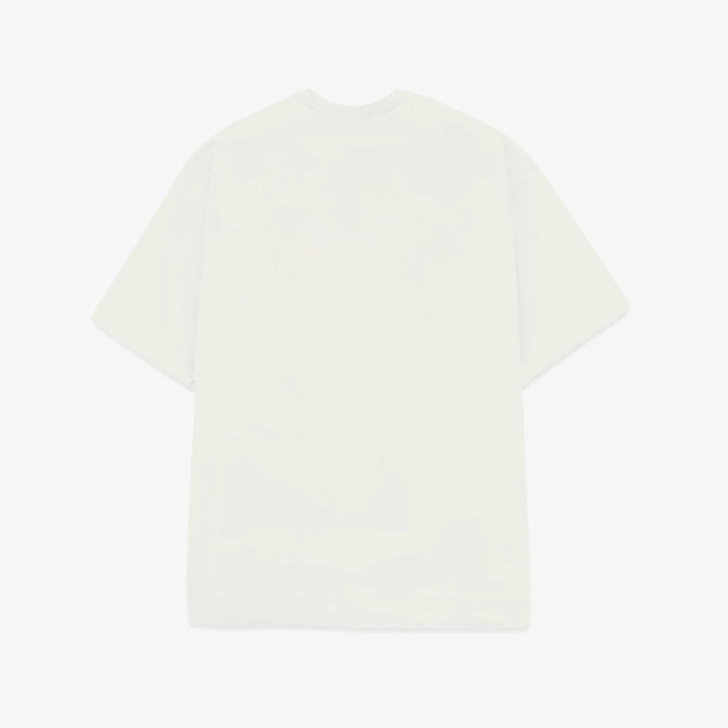 Basic Embroidered T-Shirt (White)